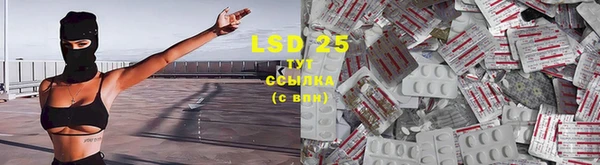а пвп мука Бородино