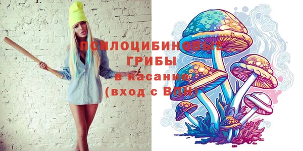 а пвп мука Бородино