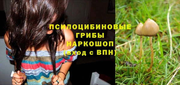 таблы Сосновка